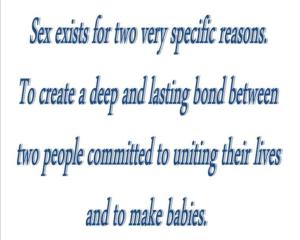 sex reasons quote